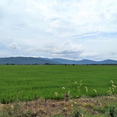 VENTA DE TERRENO DE 60 HAS. EN SAN MARTÍN